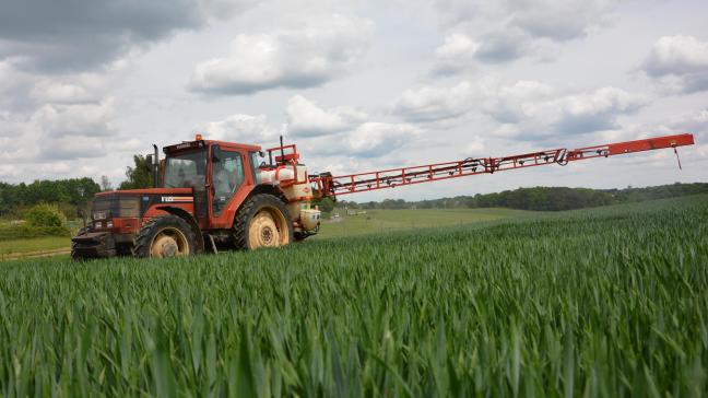 Belcam a notamment pour objectif de guider les agriculteurs  lors de l’apport du troisième fractionnement azoté en froment.