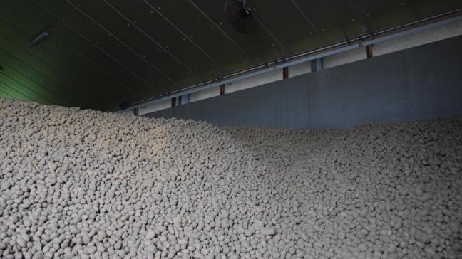 Au fil du temps, les cristaux de CIPC repassent en phase vapeur. Dans les bâtiments traités durant de nombreuses années, il risque de recontaminer les pommes de terre stockées même si elles n’ont jamais été traitées au CIPC.