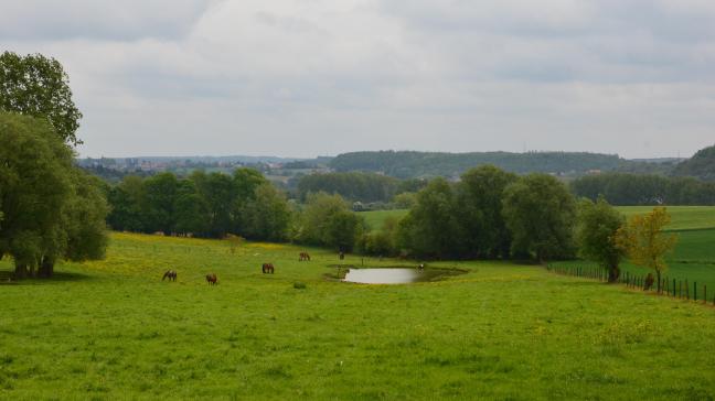Le coefficient qui intervient dans le calcul du fermage est désormais fixé annuellement, selon l’évolution du revenu du travail agricole par ha pour chaque région agricole et selon un index basé sur l’indice des prix à la consommation.