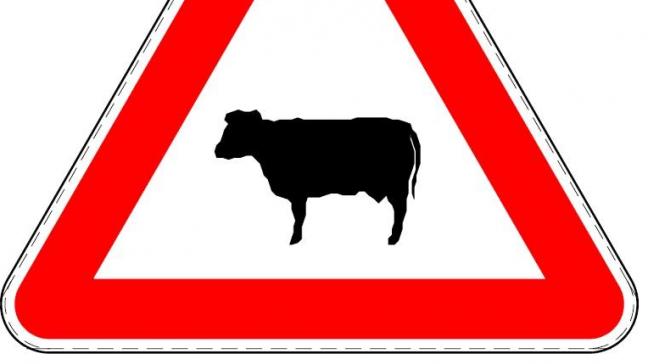 Il existe un panneau de signalisation spécifique pour la traversée de bétail,  le panneau de danger A 29. Ce panneau de signalisation avertit les cyclistes  et piétons qu’ils peuvent être confrontés à des animaux se trouvant sur le chemin.
