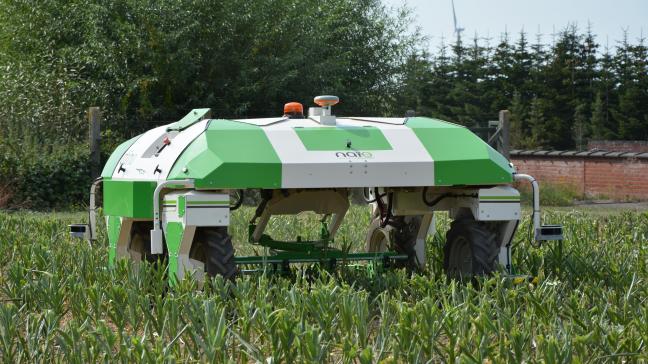 Les robots seront mis à l’épreuve en cultures sarclées (betteraves, chicorée et maïs)  et légumières (ici : le robot Dino, de Naïo Technologie).