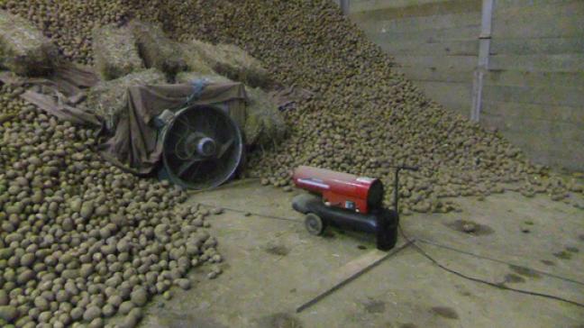 Quand il faut sécher les pommes de terre plus ou moins vigoureusement, on profitera de nuits et petits matins froids en travaillant avec un canon à chaleur.