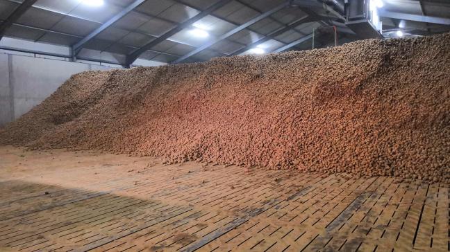 La thermonébulisation de 1,4Sight, Argos ou Biox-M constitue un des principaux moyens de contrôler la germination durant le stockage des pommes de terre. Néanmoins, elle peut être à l’origine d’incendies.
