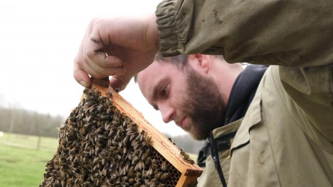 En ce mois de mars, Jef inspecte minutieusement ses colonies afin de s’assurer de leur bon état.