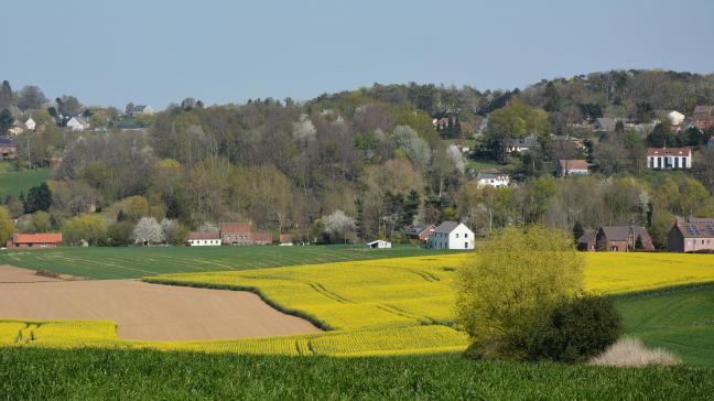 Si, dans le passé, le droit d’emphytéose n’était pour la plupart des propriétaires  pas intéressant comme alternative au bail à ferme, cela peut désormais changer.