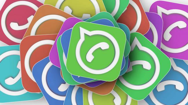 Selon l’étude Agrinautes, WhatsApp booste les échanges techniques, commerciaux  ou organisationnels, améliore la veille, et permet de rompre l’isolement.