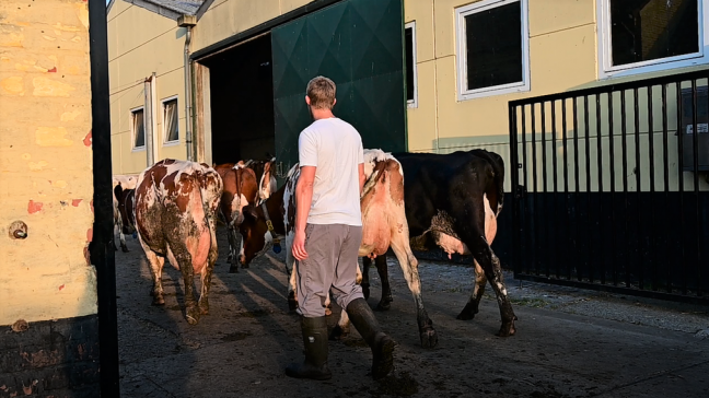 CowForme