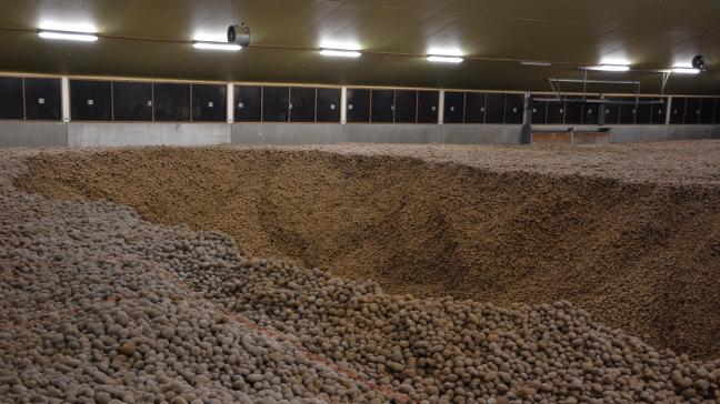 Une fois récoltées, les pommes de terre devront être stockées, parfois durant  de long mois, en s’assurant que leur qualité se maintient à un niveau optimal.