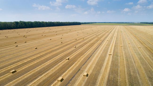 Rien qu’à elles deux, la Russie et l’Ukraine mettent en circulation  un tiers du blé mondial destiné à nourrir le monde.