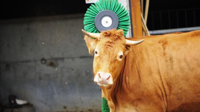 La commission confirme qu’il « existe effectivement une marge de manœuvre » pour appliquer des exigences sanitaires et environnementales (y compris sur le bien-être des animaux) « relatives aux processus et aux méthodes de production des produits importés d’une manière  compatible avec l’OMC ».