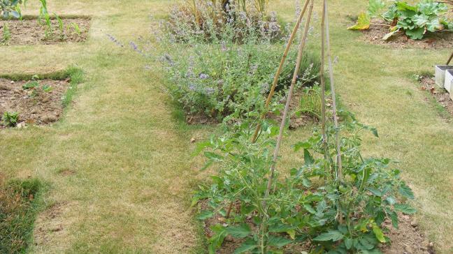 De petits carrés consacrés à la production de légume incorporés dans l