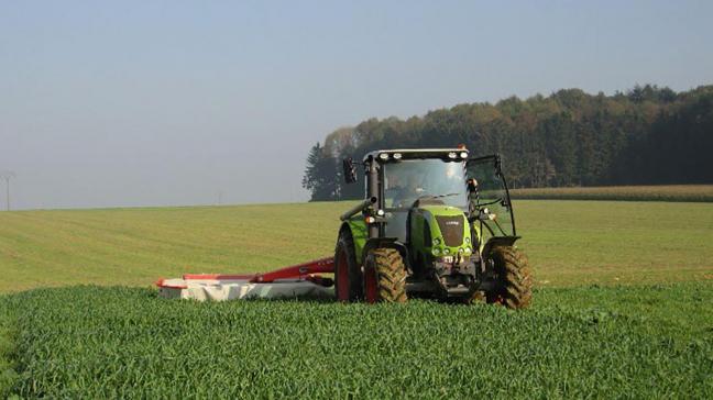 Des dérogations ont été octroyées cette année pour les périodes de mise en place et de destruction des cultures intermédiaires pièges à nitrate.