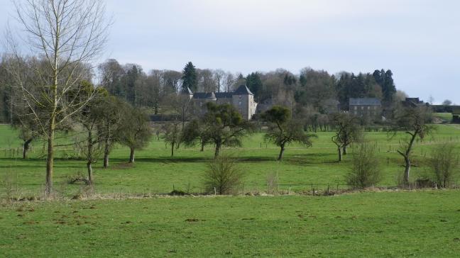 Le succès des MAEC concernant le maintien et l’entretien des haies, des arbustes, arbres, buissons, bosquets et des mares n’a pas été au rendez-vous depuis 2015. Les paiements y étant relatifs sont revus à la hausse dans le cadre d’un écorégime à partir de 2023. – Pâture avec vieux verger et arbustes aux abords d’un village, un habitat remarquable pour les insectes et les oiseaux.