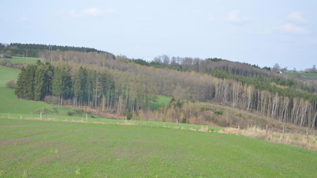 La durée d’un bail à ferme est fixée par les parties, mails elle ne peut être inférieure à neuf ans. À défaut de congé valable, le bail est prolongé de plein droit à son expiration par périodes successives de neuf ans mais dans la limite de trois prolongations, même si la durée de la première période a excédé neuf ans.