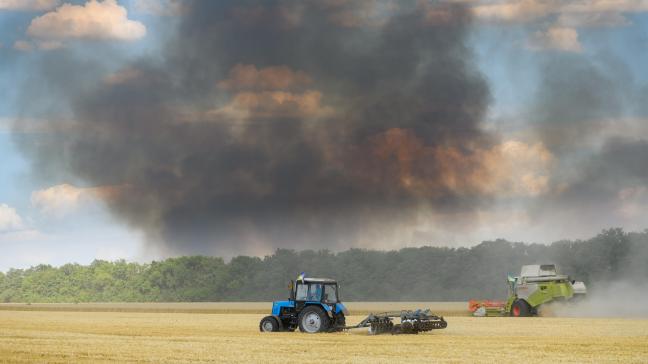 Conséquence directe de l’invasion russe, la récolte de céréales en Ukraine, l’un des principaux producteurs mondiaux, va chuter d’environ 40 % cette année (par rapport à 2021).