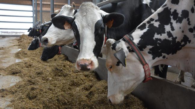 Les prix des ingrédients laitiers ayant baissé, le prix du lait valorisé en beurre ou poudre maigre baisse également  tant sur le marché mondial que sur le marché européen.