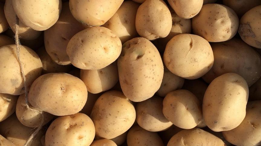 fresh-potato-2145499_1920