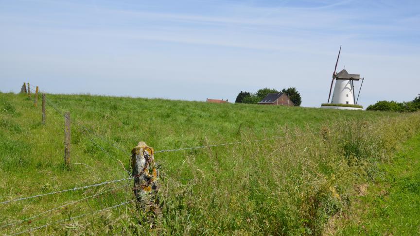 La sous-location non autorisée et la cessation de  l’exploitation du preneur sont deux motifs sous  lesquelles le bailleur peut faire résilier le bail.