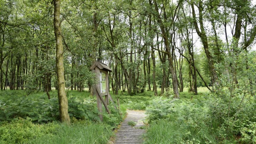 L’encadrement de la chasse, le suivi des populations, la surveillance forestière, le martelage, l’entretien des sentiers forestiers... autant de tâches qui incombent au garde forestier au fil des saisons.