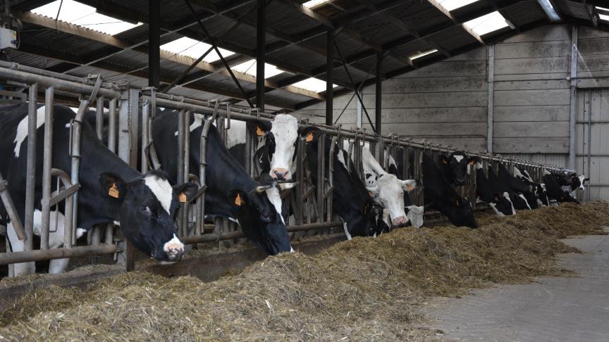 Une fois les attentes et contraintes de l’ouvrage à réaliser connues, l’éleveur doit encore étudier les différents points liés à la conception technique  de sa future étable.