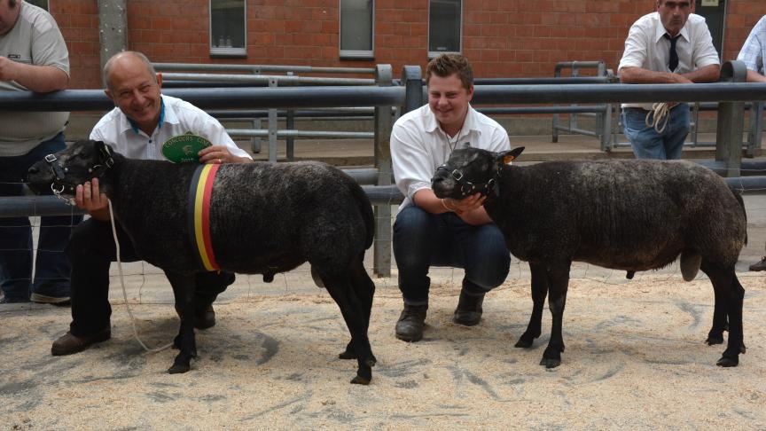 Le champion des béliers Texel bleu à Fr. Meunier et le réserve à M. Delise.