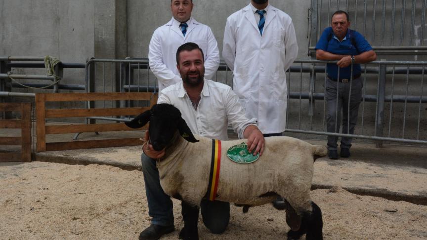 Le champion des agneaux Suffolk à J. Dufrane.