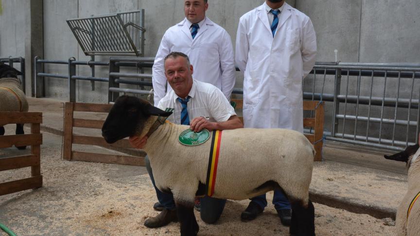 La championne des brebis Suffolk à Cl. Henricot.