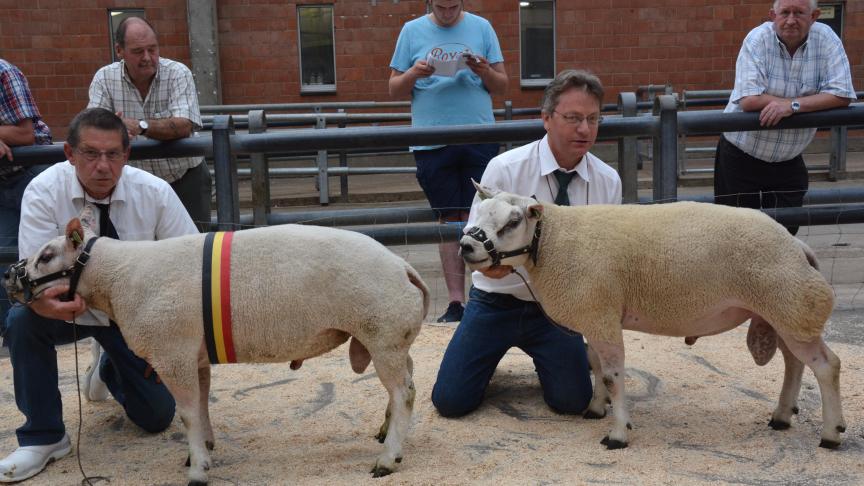Le champion des antenais à R. Lambert et le réserve à J. Rappe