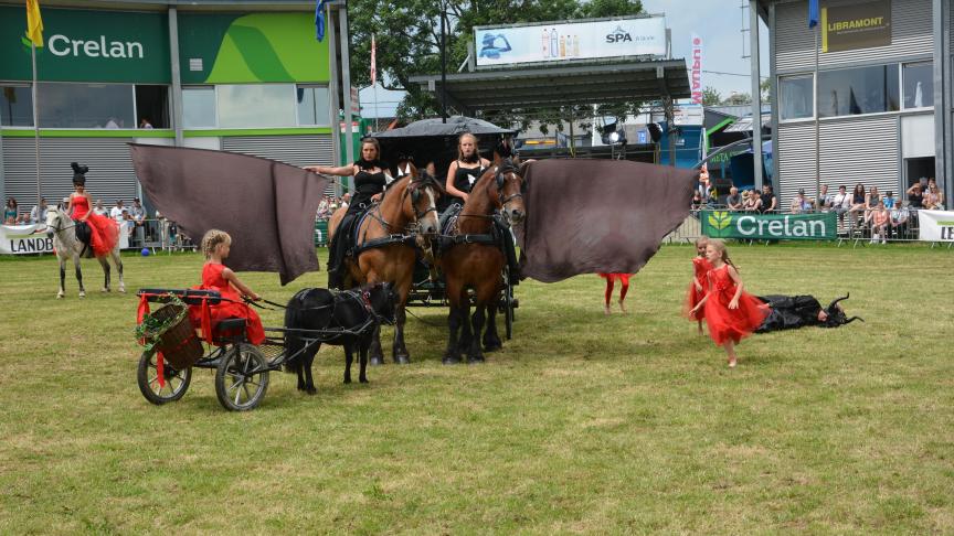 Les spectacles équestres réalisés par les Traits de la Famenne connaissent toujours un franc succès.