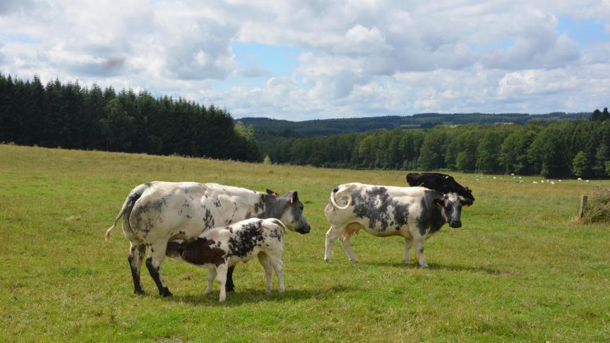 Il s’agit là d’une étape essentielle pour mieux valoriser notre patrimoine agricole et gastronomique.