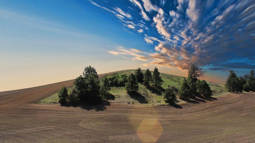 farmland-768603_1920