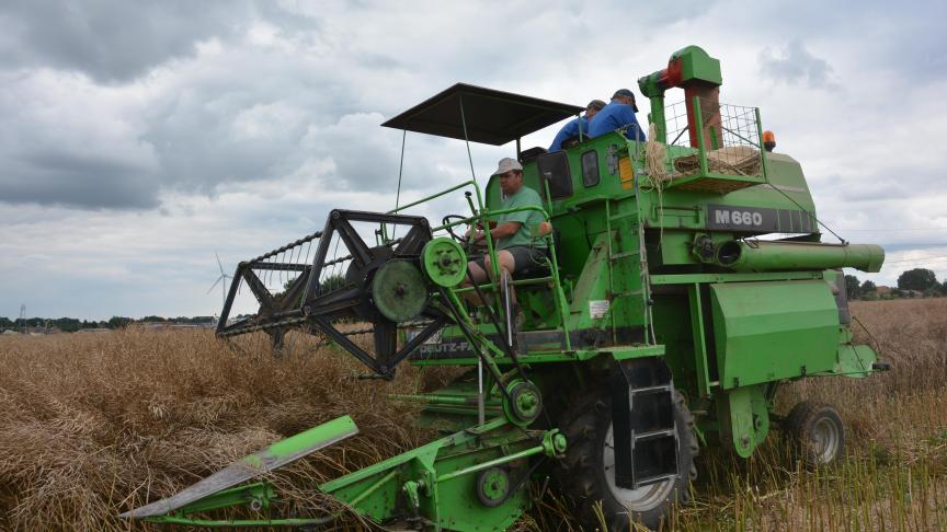 Les résultats des essais 2017 en comparaison avec ceux des dernières années apportent des enseignements très utiles quant au choix variétal pour les semis à venir.