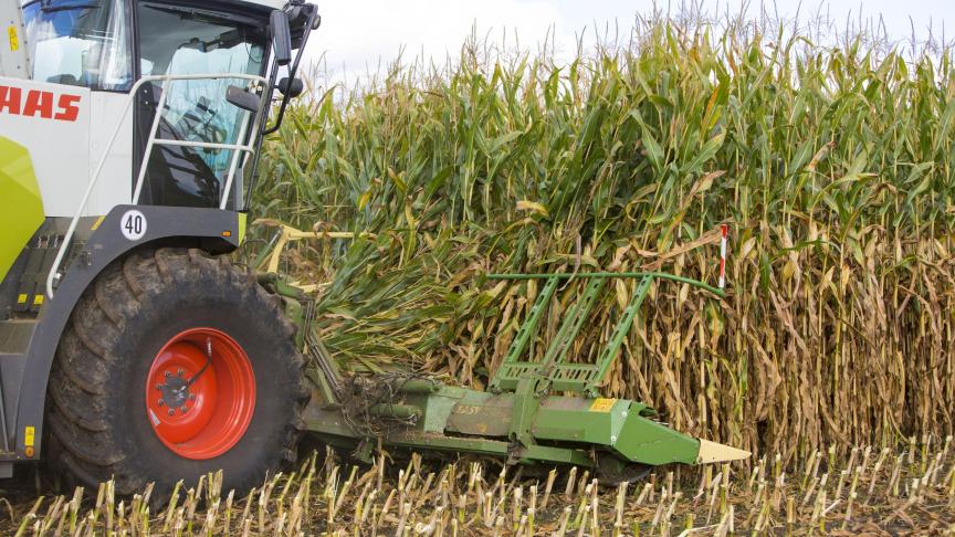 Le bec EasyCollect de Krone  est maintenant disponible sur  les ensileuses Claas, John Deere  et New Holland.