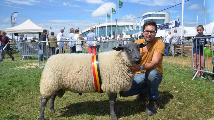 Champion des antenais Bleu du maine, à David Jacqmin, Herve.