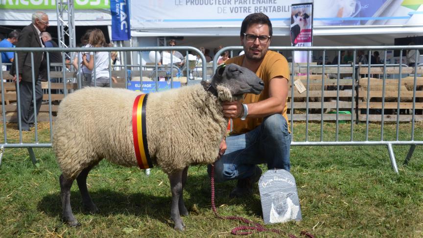 Championne des agnelles Bleu du Maine, à David Jacqmin, Herve.