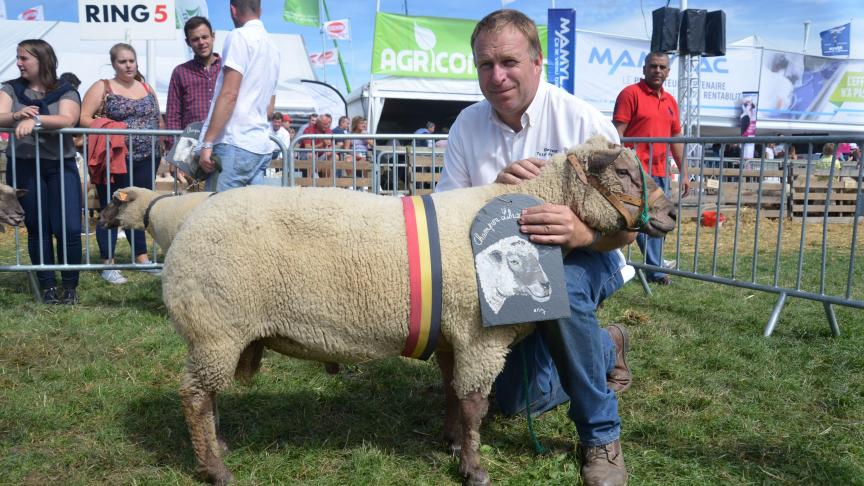 Champion des béliers Vendéen, à Marc Remy, Floreffe.
