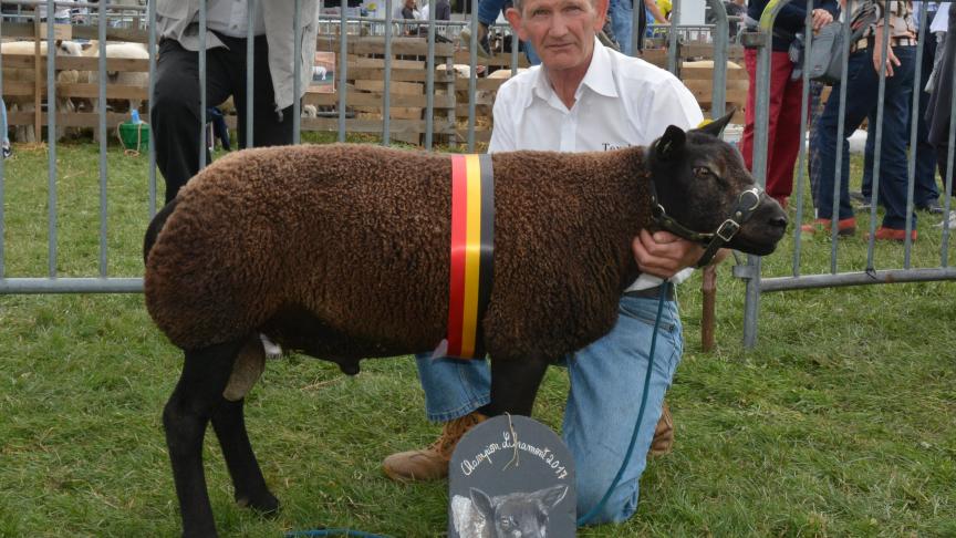 Le champion des antenais Texel bleu à J. Bertrand.