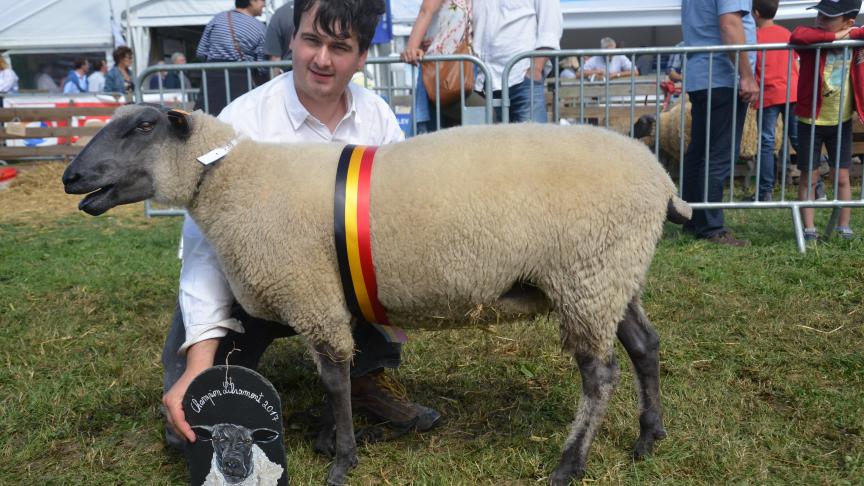 Championne des antenaises Bleu du Maine, à Sam Callaerts, Steenhuffel.
