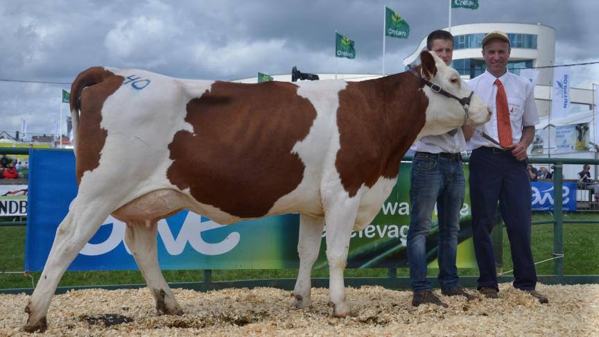 Incue (Four x Urbaniste), meilleure mamelle jeune, à Philippe Counasse, de Chevron.