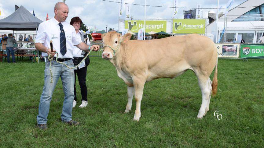 Mona du Frenaie (Gouda X Chacal), 1
er
 prix des femelles de 7 à 12 mois, à B. Adam et C. Michel Association, Libramont-Chevigny.