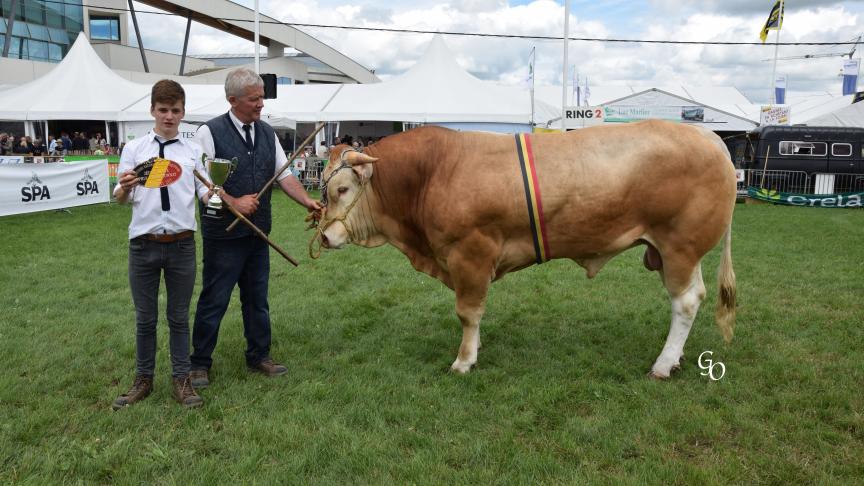 Lien (Ionis X Ronaldo),  champion des jeunes taureaux,  à Jean-Pierre Marcourt, Ouffet.