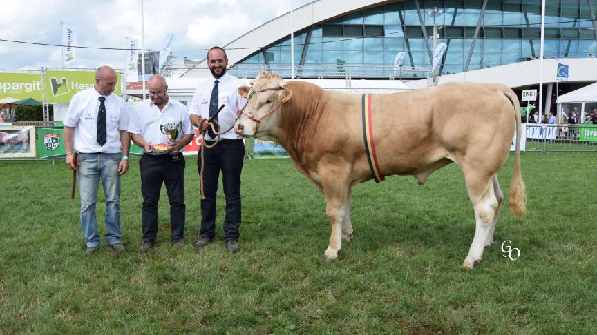 Laureat du Frenaie (Voltaire X  Chacal), champion espoir mâles,  à Jean-Luc & Xavier Pierret, Orgeo.