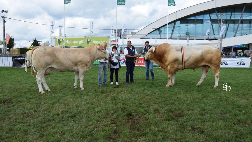 Elyonne du Frenaie (Uvay X Leo), prix qualité bouchère adulte  femelle, à B. Adam et C. Michel Association, Libramont-Chevigny.