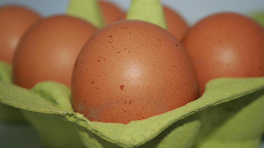 egg-181198_1920