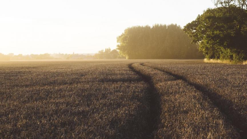Selon la Cour d’Appel de Gand, l’héritier-agriculteur ne doit pas payer de chapeau pour les terres reçues en bail aux autres héritiers.