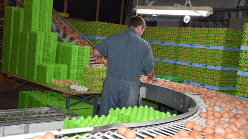 Malgré le blocage, le travail continue: « Les poules sont nourries et nettoyées, les oeufs sont récoltés...  sans savoir si l’issue sera positive», dit Stieve Charon.