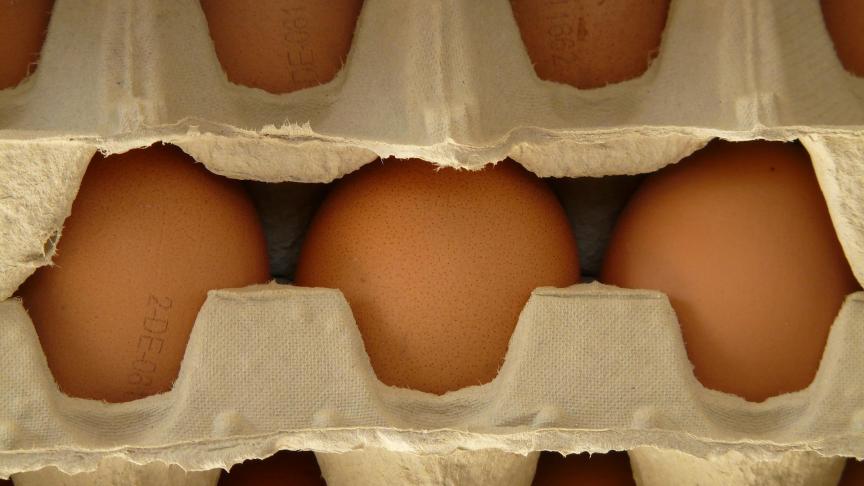 egg-5815_1920