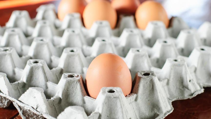 egg-636947_1920