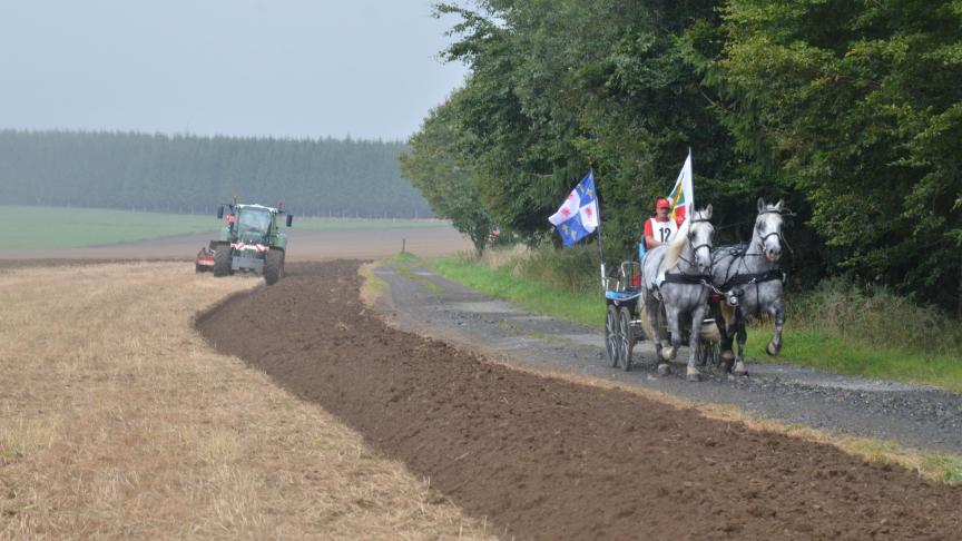 DSC_5652 (2)
