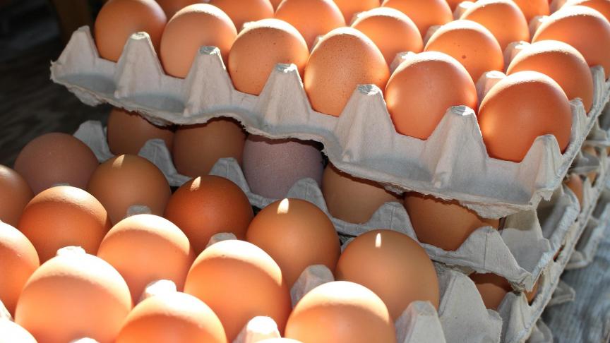 fresh-eggs-2581036_1920